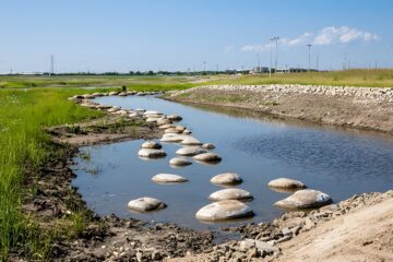 Detention Pond Management